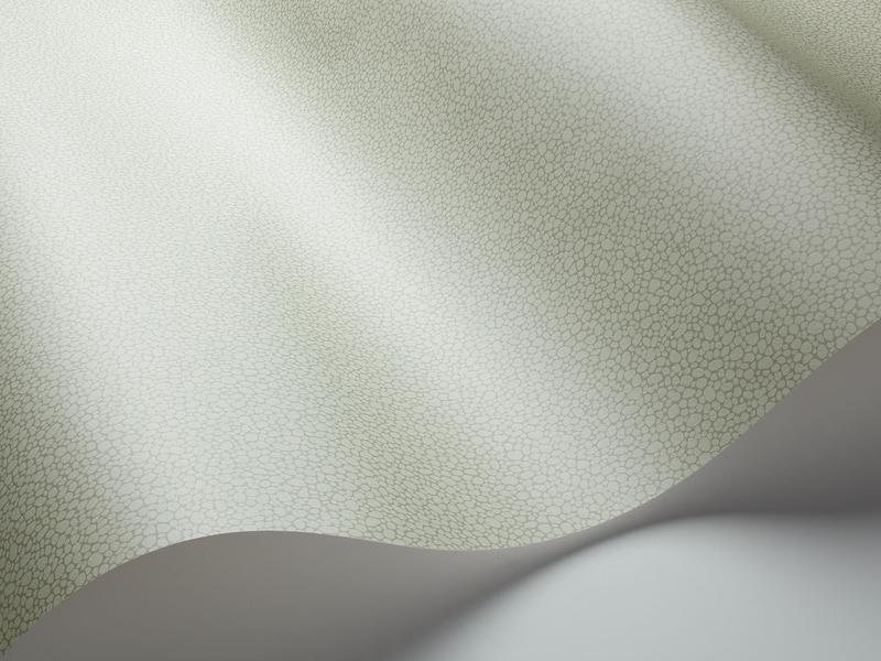 Cole and Son - Tapete Pebble Wallpaper-Tapeten-Cole & Son-Soft Olive S106/2027-TOJU Interior