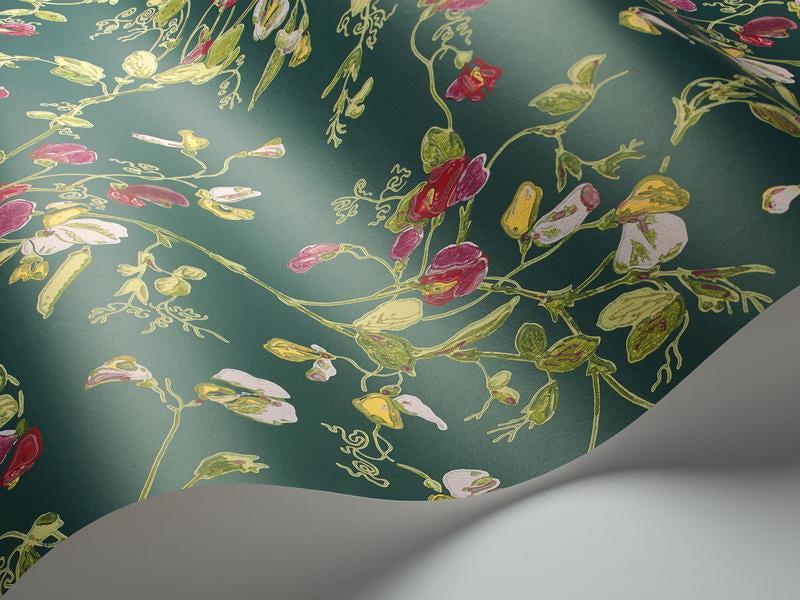 Cole and Son - Tapete Sweet Pea Wallpaper-Tapeten-Cole & Son-Cerise & Magenta on Dark Viridian S115/11033-TOJU Interior